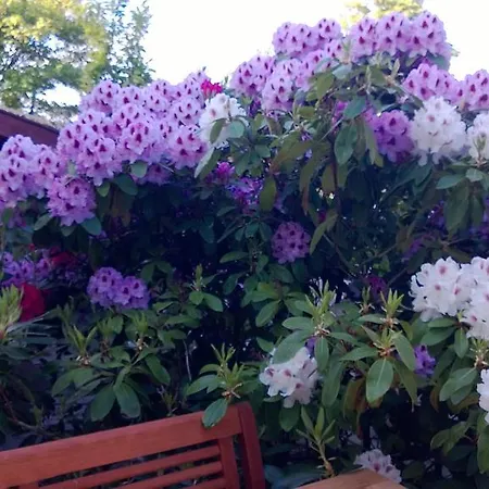 別荘 Nadja ヴェスターラント