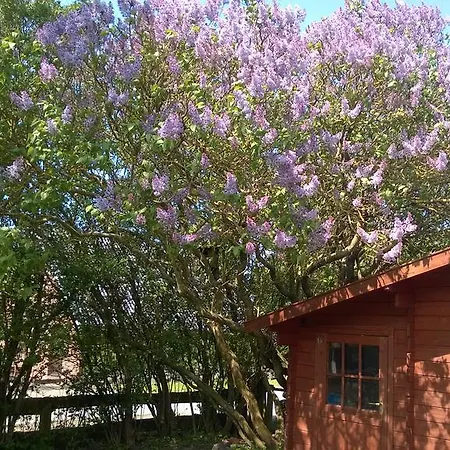 Nadja ヴェスターラント