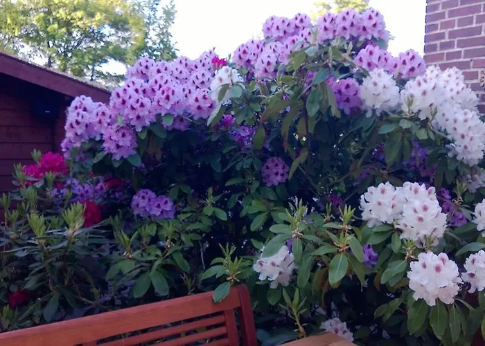 Casa de Férias Nadja Westerland